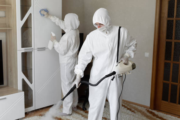 Mold Removal Process in Euless, TX