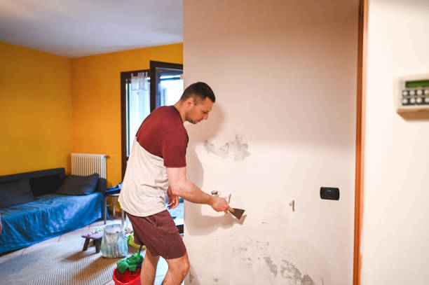 Best Mold Damage Repair  in Euless, TX